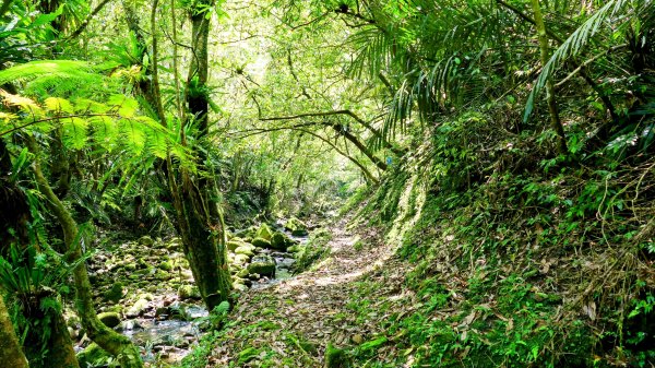 畝畝山。又上說2768145