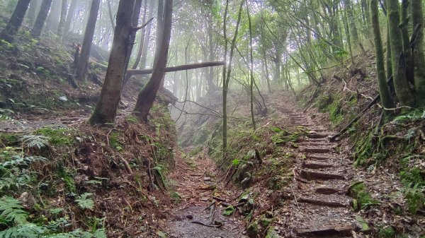 馬崙山之美1756024