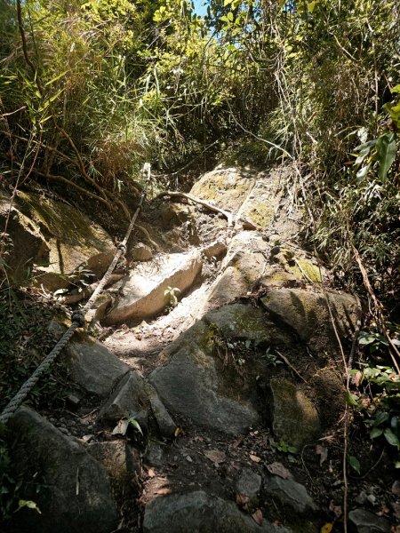 三腳南山-小百岳#65-嘉義縣大埔鄉2788704