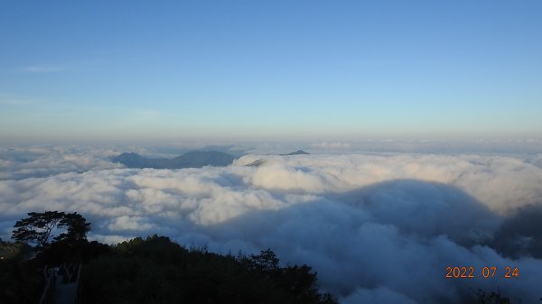 最高小百岳-大塔山2663M&阿里山二延平步道1775002