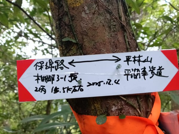 雙溪區彎穹平林山+平湖東步道+紙坑古道(億山煤礦)+紙坑山出平水聚落O型2965796