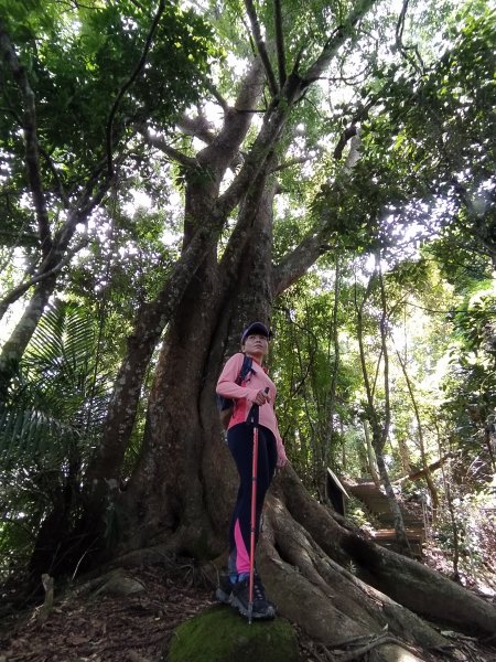 埋伏坪登山步道1750026