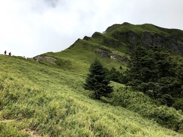 奇萊北壁下屏風山紀錄 (未竟)