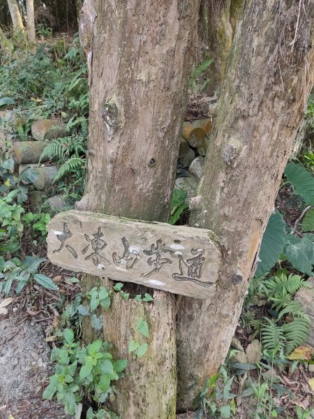 關子嶺大凍山814063