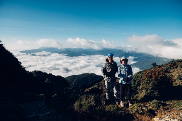 向陽山登頂2452137