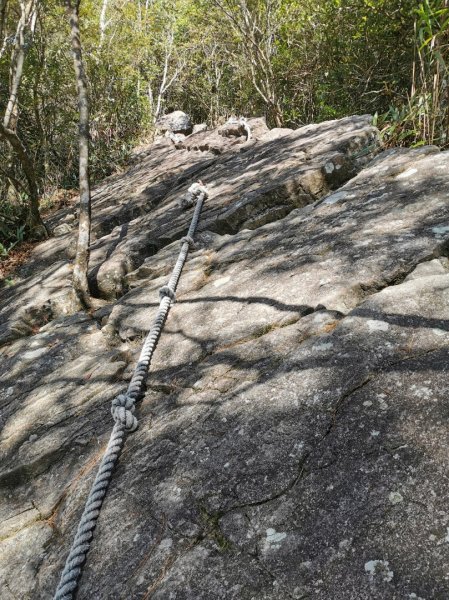 鳶嘴稍來 - 2020/2/8828504