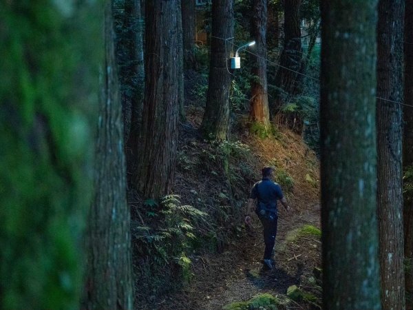 智慧光守護森林生態！林業保育署臺中分署攜手光林智能打造低藍光永續示範區