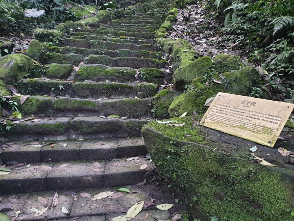 金字碑古道、不厭亭、牡丹山、貂山古道1556854