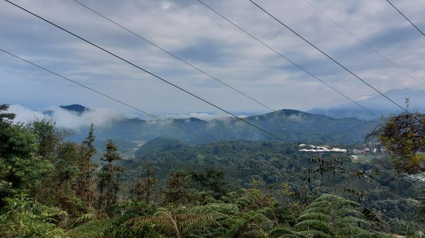 過坑山逛逛1114488