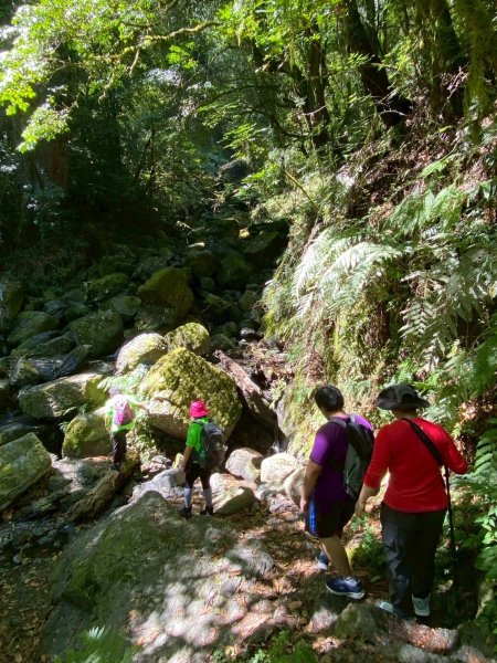 🌈8/16（六）遠的要命的王國~鎮西堡B區神木巡禮✨FB：熊熊趴爬走🌈2861623