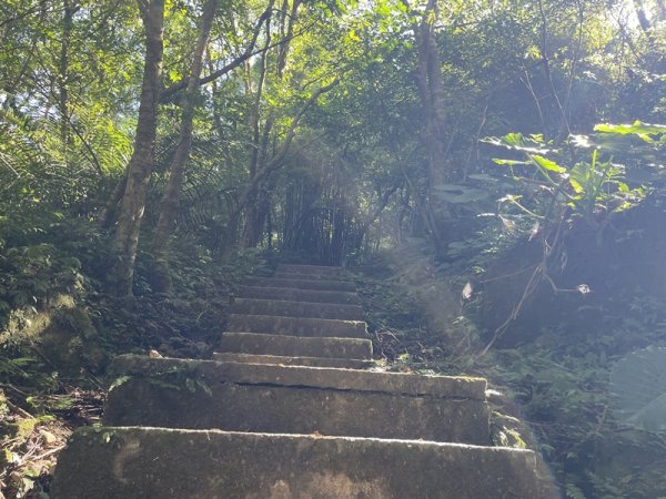 【二格山系】皇帝殿稜線2914120