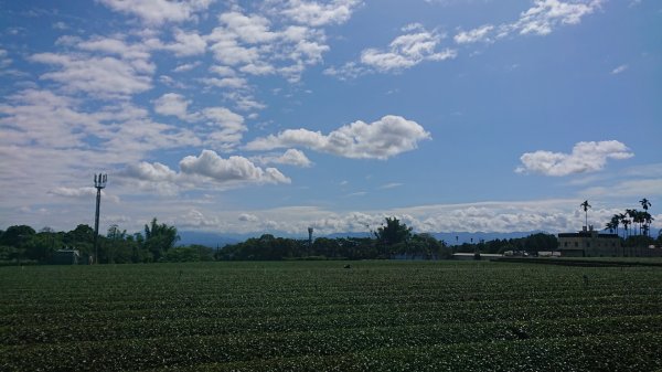 茶香步道～田中森林公園980894