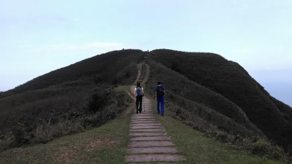 2019 3/2 草嶺古道 桃源谷853695