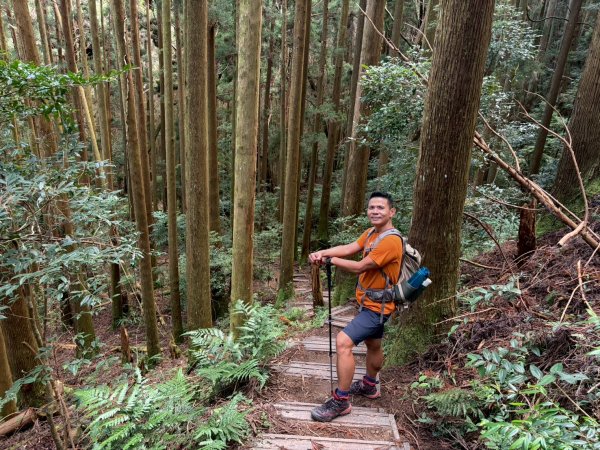 哈勘尼山-加里山【完美收官完登小百岳】2942445