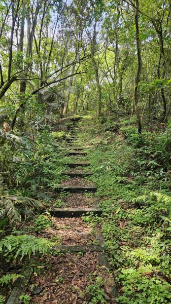 20250427魚衡山-南峰-南南峰-猴山岳北北峰-北峰-主峰-前峰-西峰下指南宮2771948