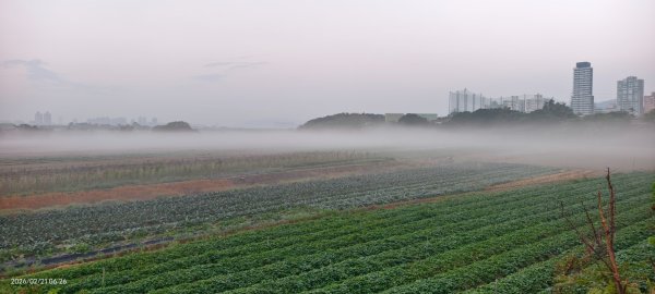 #觀音山 #夕陽 #夜景 #林梢步道 #關渡平原 #輻射霧  2/213003242