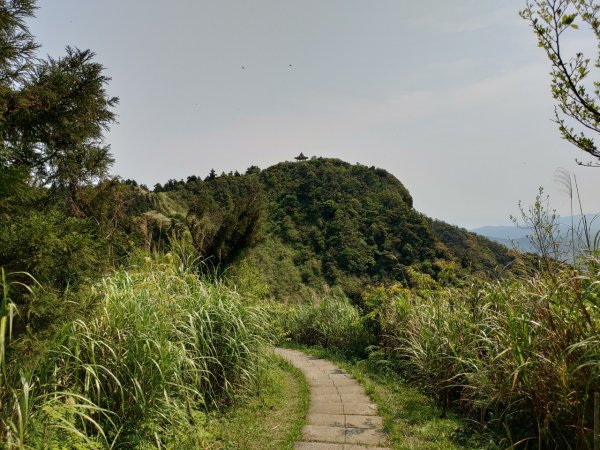 台灣萬里長城－五分山步道934066