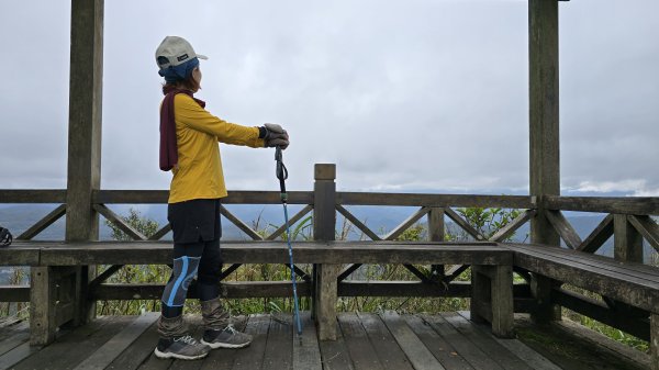 2025貓空杏花林杏花大爆發，粉紅、深紅及白色杏花爭奇鬥艷，從公車站步行20分鐘即抵達2720169