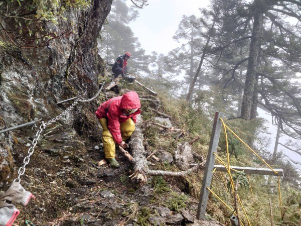 【新聞】玉山主峰線步道因強降雨及陣風影響，72號棧橋遭枯倒木擊中有損毀情形，請遊客通行時小心