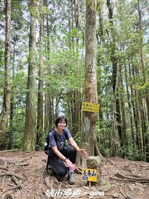 【台中和平】長壽山_肥崠山_山徑3077650