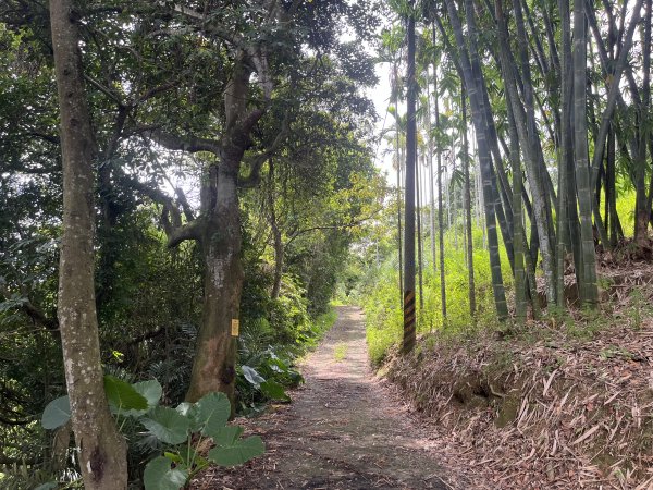 [皮皮獅Hike客任務-05/10] 2024_0721 石硬子古道(石峎古道)2557513