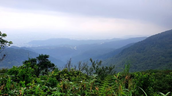 抹茶山，聖母登山步道，隆隆山，福卯古道，水柳腳登山步道，觀音台步道，北勢溪自行車道1742250