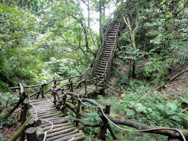 頭嵙山(小百岳#41)大坑4,5,1步道1003724