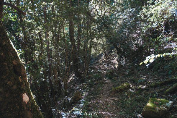 霞山鐵道野營2843076