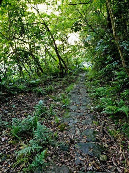 枋山坑古道(淡蘭中路)-新北市坪林區2882703
