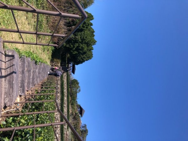 嘉義縣番路鄉二延平山1965542