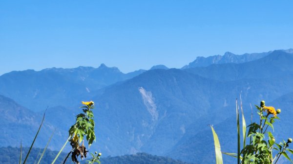 苗栗馬那邦山，飛鳳山大板根，石壁潭山，觀日坪古道，台中三汀山，鐵砧山，后豐鐵馬道，彰化八卦山天空步道1908383