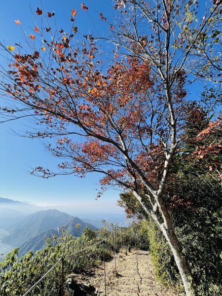 馬拉邦山-楓情萬種1545602