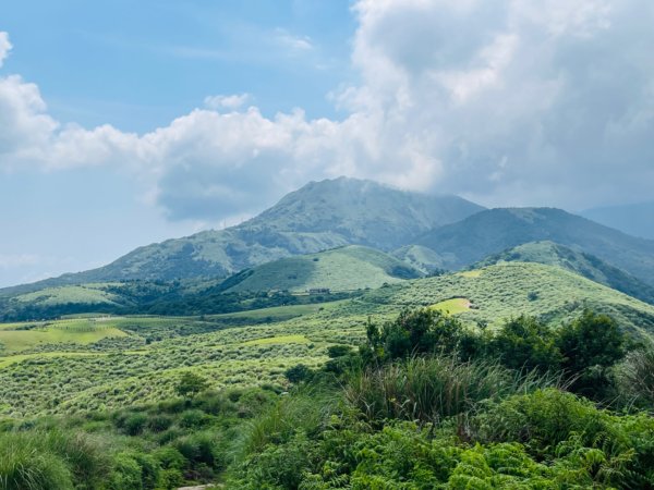 1140621冷水坑-擎天崗-石梯嶺2817702