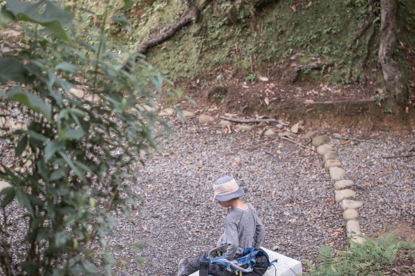 微笑山線 筆架連峰段段｜健行筆記尋寶任務2824787