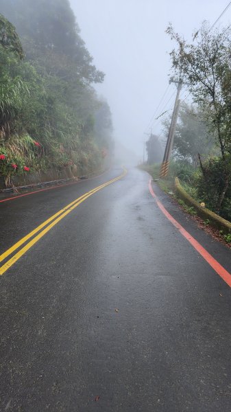 111/12/18藤枝森林園區東藤枝山、藤枝山1979518