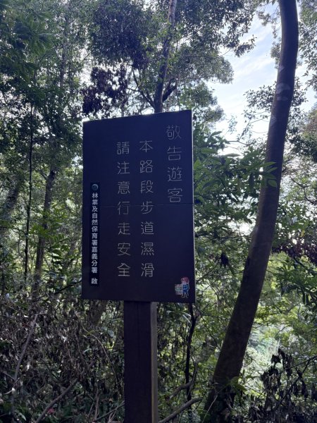 20251221嘉南雲峰、石壁山登山步道2968091