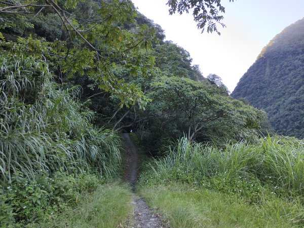 [玉山尋寶任務-07/12] 2025_0824 八通關雲龍瀑布步道2870465