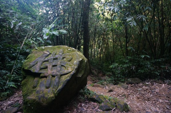 桃園石門山+小粗坑2021938