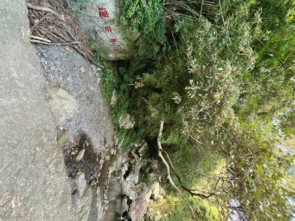 20231118_鵲子山步道（宜蘭小百岳）2763012