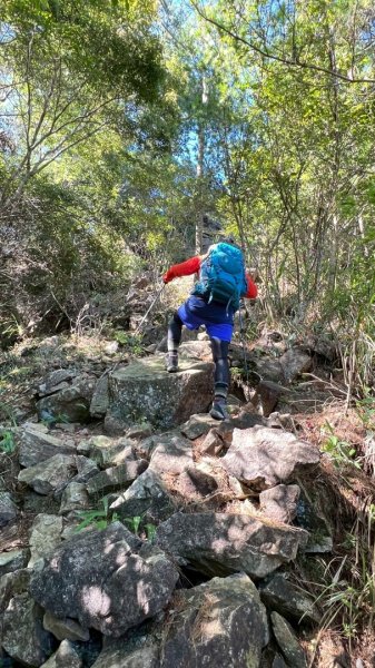阿冷山 谷關第八雄2877447