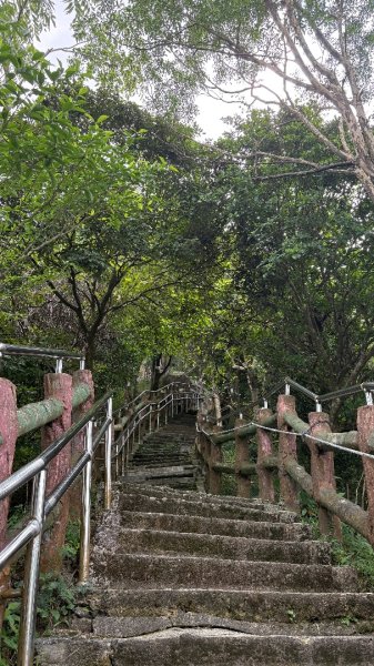 941（旗尾山2905668