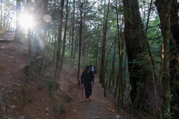 雪山東峰單日往返539565