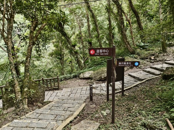 [百山百鳥尋旅-09/15] 2025_0920 滿月圓國家森林遊樂區步道群2893078