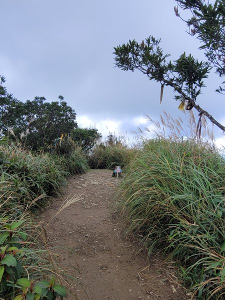 朝聖之路小百岳--三角崙山2356918