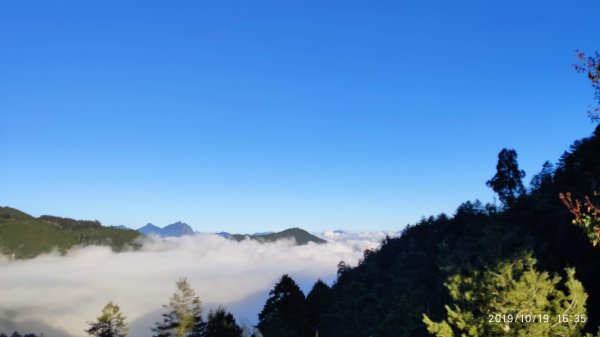 大雪山神木&天池715486