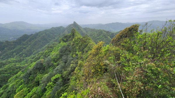 峰頭尖~峰頭尖東峰2761370