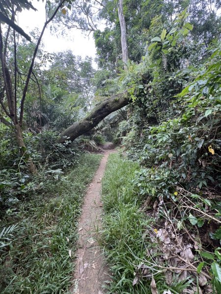 20251018台南 崁馬鞍部啟登崁頭山2920735