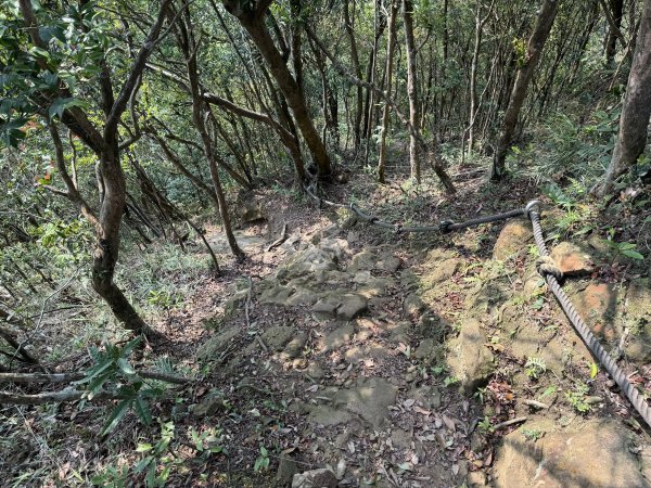 [微笑山線_第八段] 2026_0411 二格山系_炙子頭山3035076