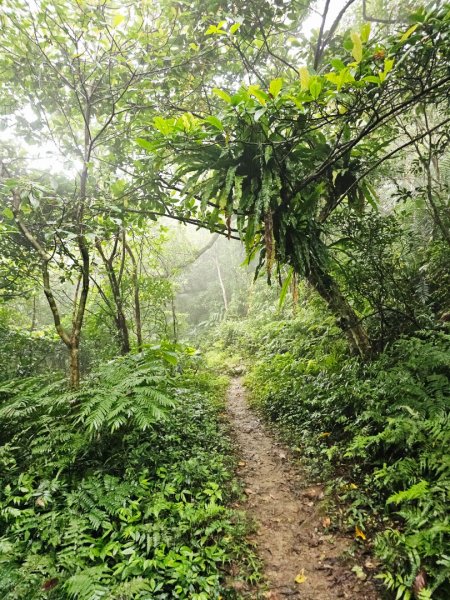 2026年臺北大縱走第六段：中華科技大學至捷運麟光站3026031