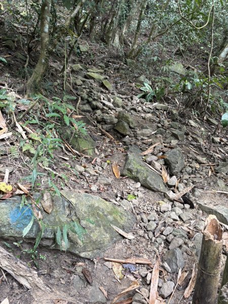 20251108白雲山步道2935186